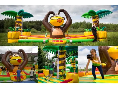 Hungry Monkey