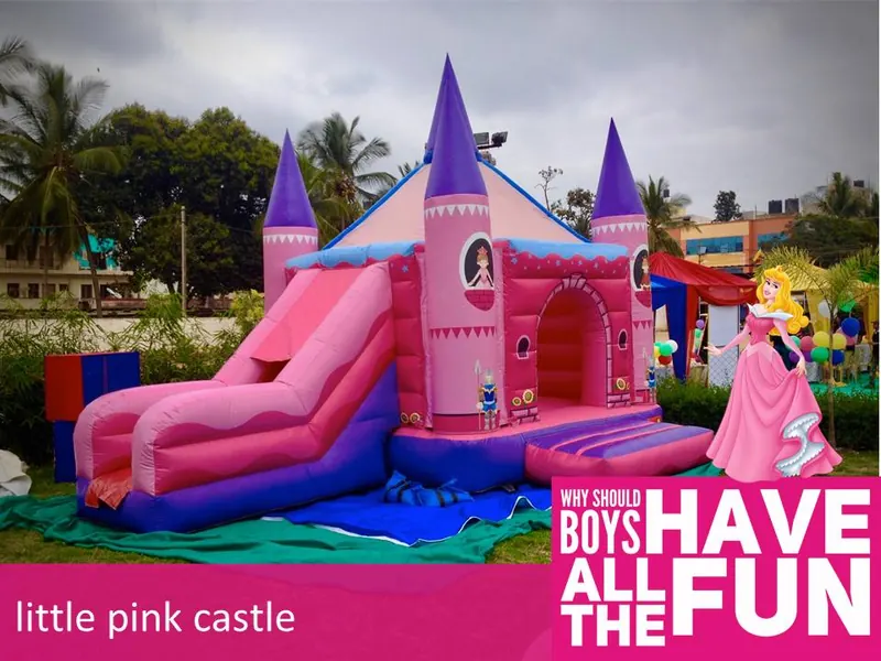 Pink Castle