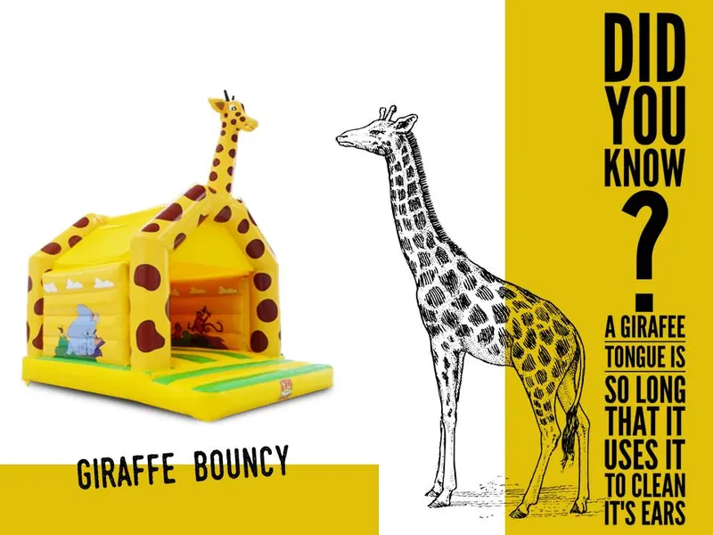 Girafee