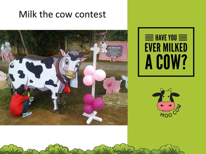 Milk The Cow Contest