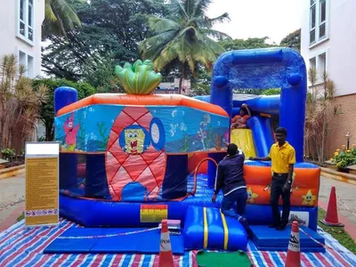 Pineapple Bouncy