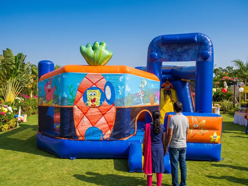 Pineapple Bouncy