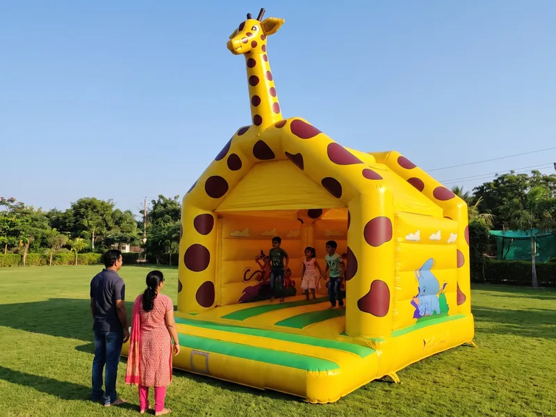 Giraffe Bouncy