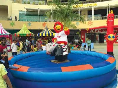 Rodeo Bull