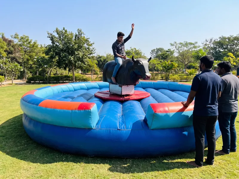 Rodeo Bull