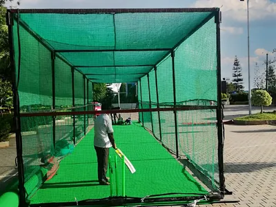 Cricket Mania